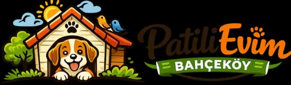 patilievim.com logosu